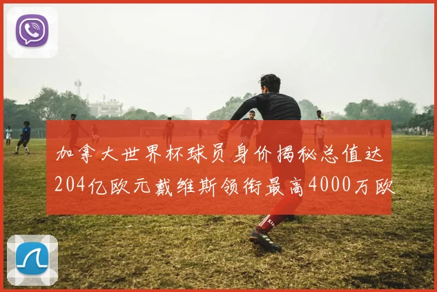 加拿大世界杯球员身价揭秘总值达204亿欧元戴维斯领衔最高4000万欧