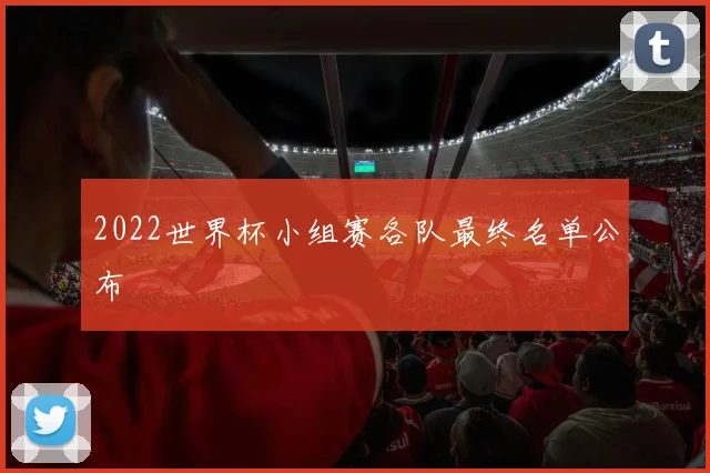 2022世界杯小组赛各队最终名单公布