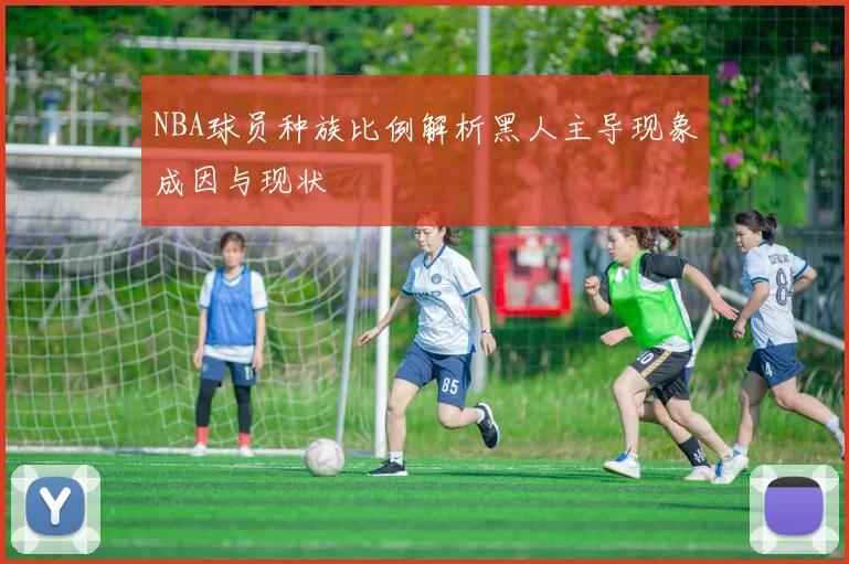 NBA球员种族比例解析黑人主导现象成因与现状